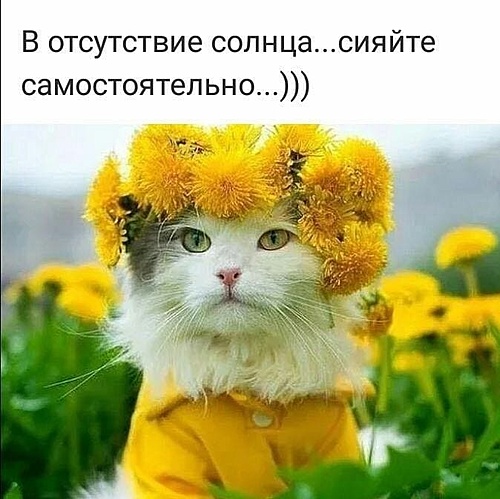 Нажмите на изображение для увеличения. 

Название:	36200086_1879175568770446_2062865993335570432_n.jpg 
Просмотров:	490 
Размер:	55.9 Кб 
ID:	10354