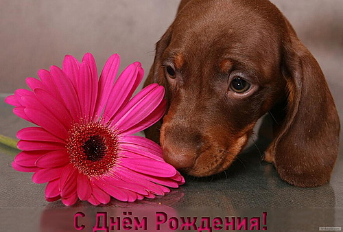 Нажмите на изображение для увеличения. 

Название:	c89dae9e18374f443ba02c8c3b482da8.jpg 
Просмотров:	496 
Размер:	146.1 Кб 
ID:	10355