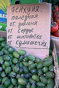 Нажмите на изображение для увеличения. 

Название:	фейхуйя.jpg 
Просмотров:	511 
Размер:	67.3 Кб 
ID:	1638