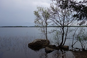 Нажмите на изображение для увеличения. 

Название:	DSC00384.jpg 
Просмотров:	1627 
Размер:	98.1 Кб 
ID:	3983