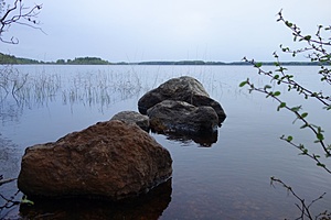 Нажмите на изображение для увеличения. 

Название:	DSC00397.jpg 
Просмотров:	1504 
Размер:	92.3 Кб 
ID:	3985