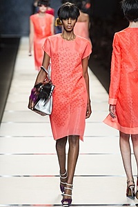 Нажмите на изображение для увеличения. 

Название:	Fendi7.jpg 
Просмотров:	1418 
Размер:	33.5 Кб 
ID:	5182