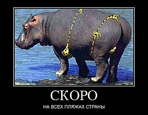 Нажмите на изображение для увеличения. 

Название:	slon.jpg 
Просмотров:	473 
Размер:	66.4 Кб 
ID:	6611