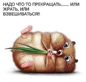 Нажмите на изображение для увеличения. 

Название:	10384462_10202101326253779_3001398919525178681_n.jpg 
Просмотров:	502 
Размер:	46.2 Кб 
ID:	7122