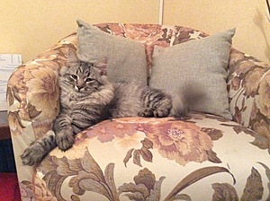 Нажмите на изображение для увеличения. 

Название:	image.jpg 
Просмотров:	589 
Размер:	185.3 Кб 
ID:	7266