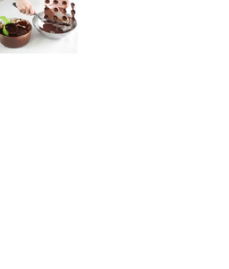 Нажмите на изображение для увеличения. 

Название:	chocolate mold.jpg 
Просмотров:	757 
Размер:	25.9 Кб 
ID:	7558