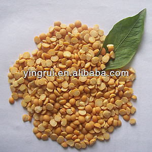 Нажмите на изображение для увеличения. 

Название:	dry_split_yellow_peas_from_china.jpg 
Просмотров:	1453 
Размер:	80.0 Кб 
ID:	7980