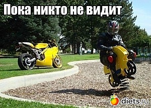 Нажмите на изображение для увеличения. 

Название:	2685086_20413nothumb500.jpg 
Просмотров:	541 
Размер:	59.0 Кб 
ID:	8184