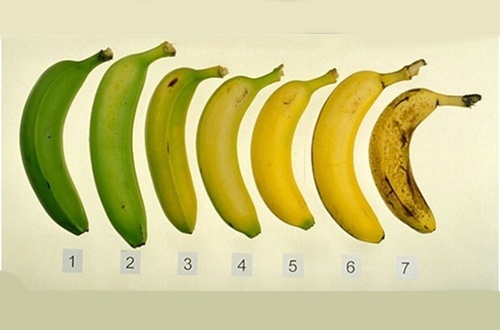 Название: Bananas.jpg
Просмотров: 411

Размер: 46.6 Кб